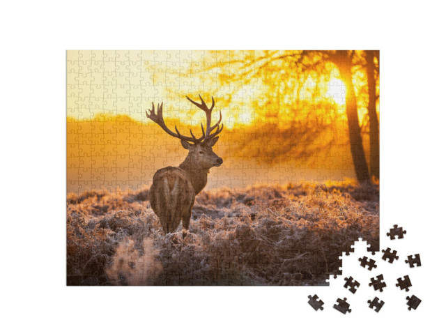 Puzzle 500 Teile „Rothirsch in der Morgensonne“