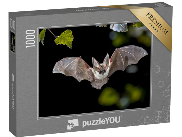 Puzzle 1000 Teile „Fledermaus bei der Jagd im Wald“