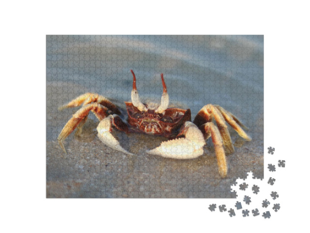 Puzzle 1000 Teile „Geisteraugenkrabbe im Meer“