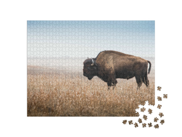 Puzzle 1000 Teile „Amerikanischer Bison, Büffel, Profil“