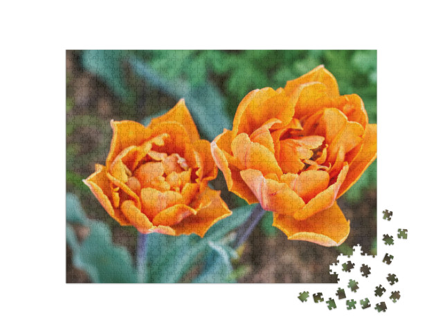 Puzzle 1000 Teile „Blumengarten, ein Strauß orangefarbener Tulpen“