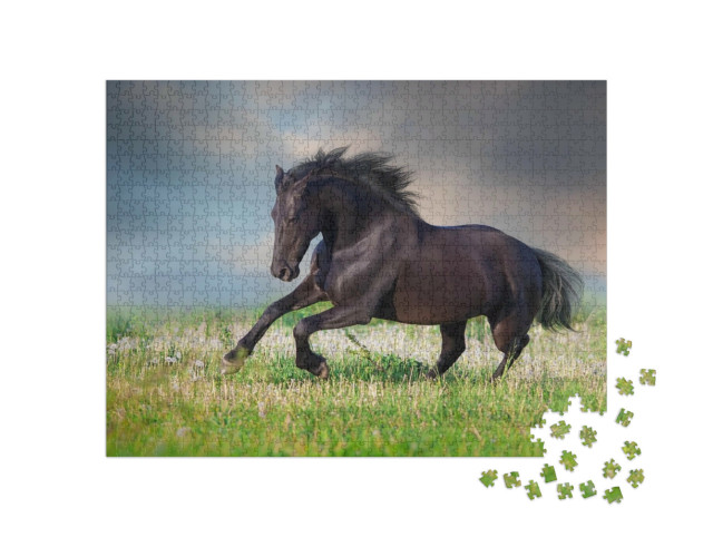 Puzzle 1000 Teile „Friesenpferd im Galopp auf frühlingsgrüner Wiese“