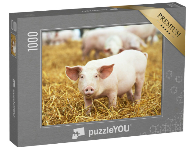 Puzzle 1000 Teile „Ferkel auf Heu und Stroh“