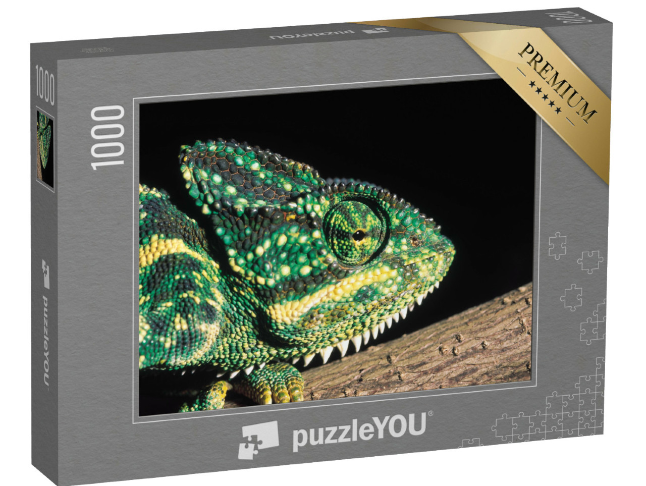 Puzzle 1000 Teile „Indisches Chamäleon, Indien“