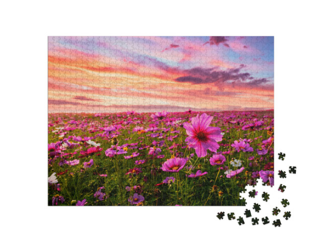 Puzzle 1000 Teile „Kosmeen blühen vor dem Sonnenuntergang, Schmuckkörbchen“