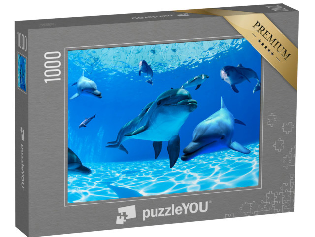 Puzzle 1000 Teile „Delphine schwimmen in den tiefen Gewässern“