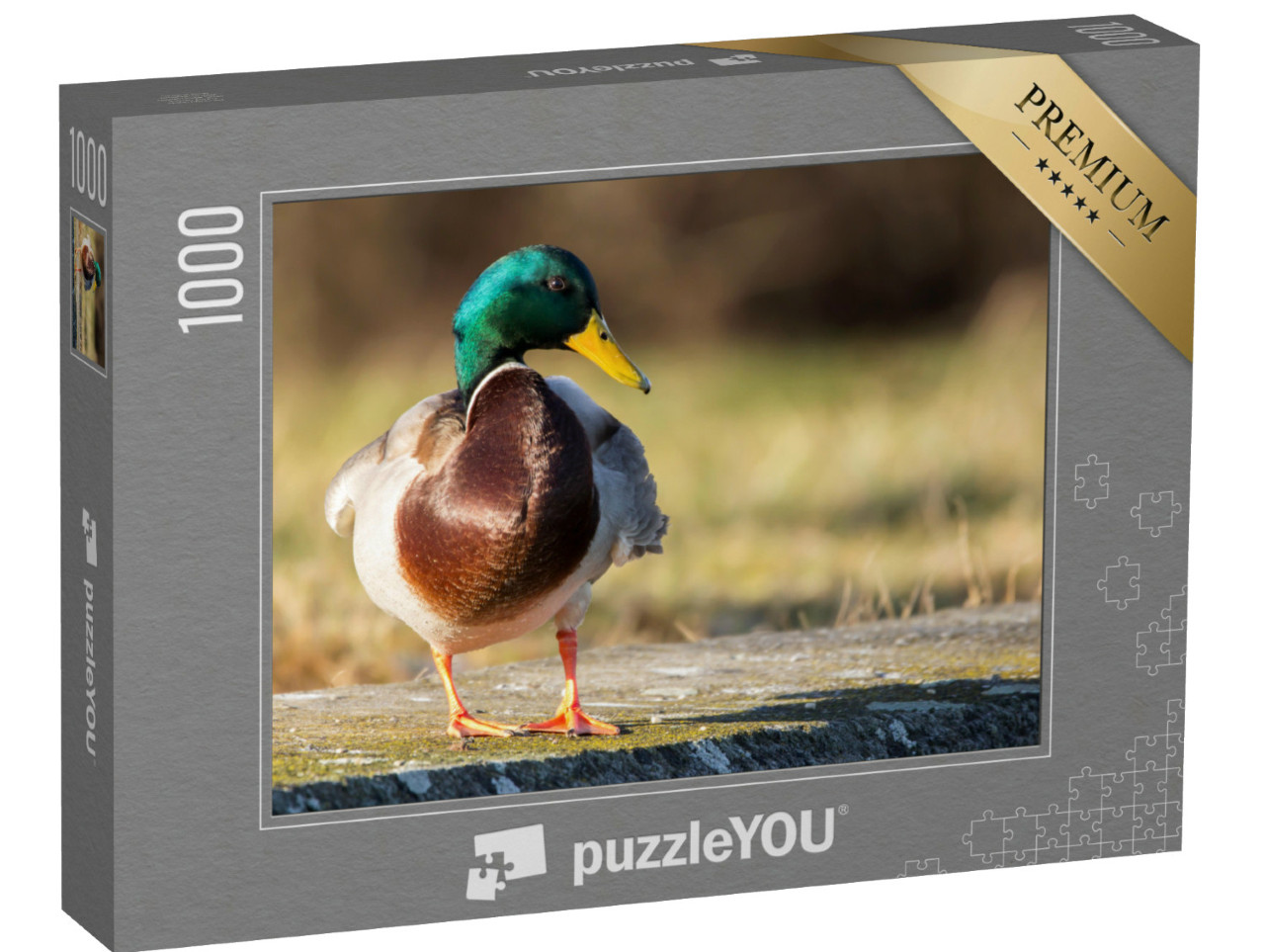 Puzzle 1000 Teile „Stockente am Ufer, natürliche Wildente“