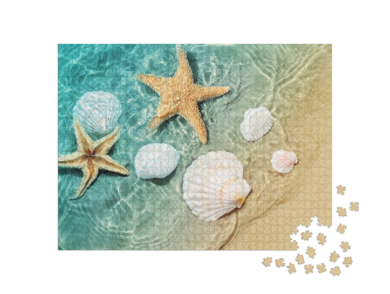 Puzzle 1000 Teile „Seesterne und Muscheln in der sanften Brandung am Strand“