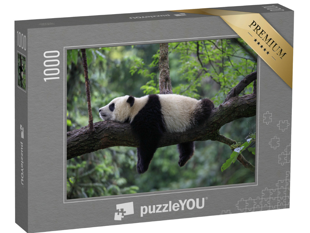 Puzzle 1000 Teile „Pandabär schlafend auf einem Baumzweig, Bifengxia Naturschutzgebiet, China“
