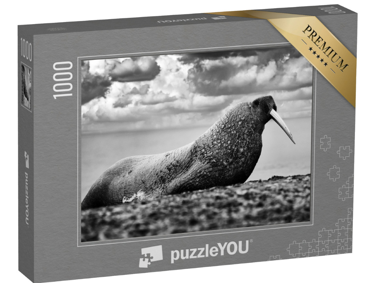 Puzzle 1000 Teile „Walross auf Sandstrand, Tier in seinem natürlichen Lebensraum auf Svalbard, Norwegen“