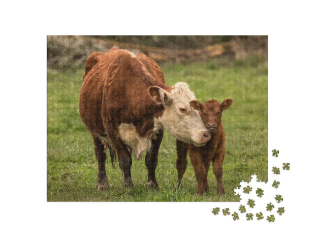 Puzzle 1000 Teile „Mutterkuh und Kalb“
