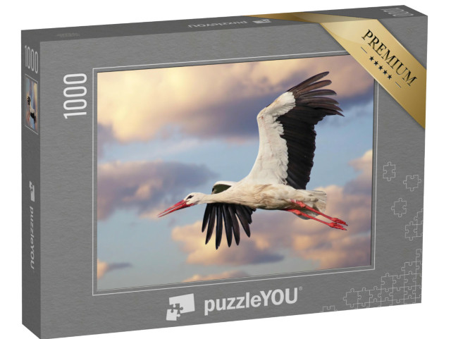 Puzzle 1000 Teile „Schöner Weißstorch im Flug mit bewölktem Himmel im Hintergrund, Ciconia ciconia“