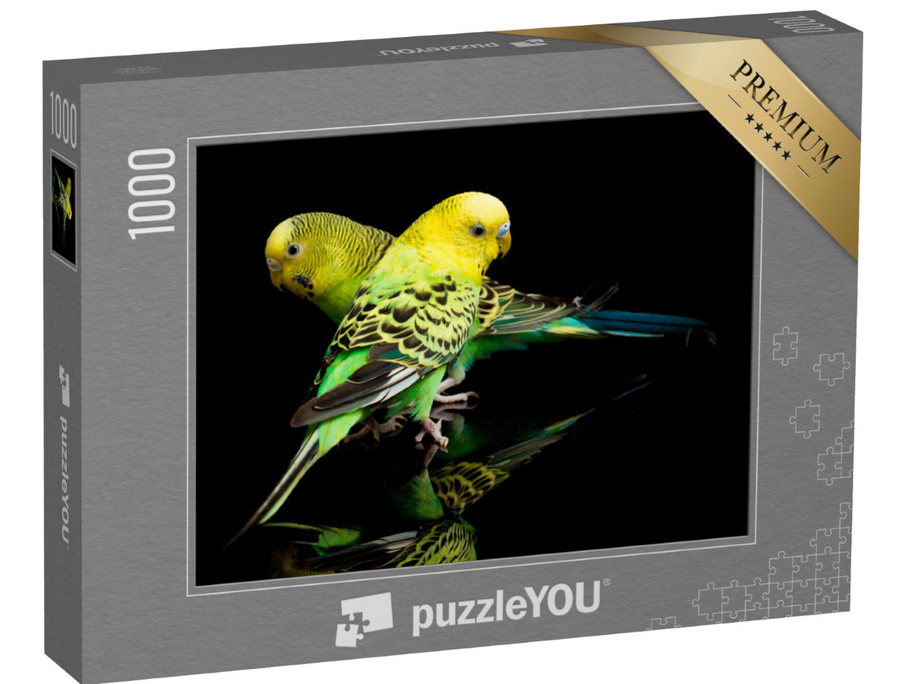 Puzzle 1000 Teile „Ein Paar Wellensittiche, Melopsittacus undulatus, isoliert auf schwarzem Hintergrund“