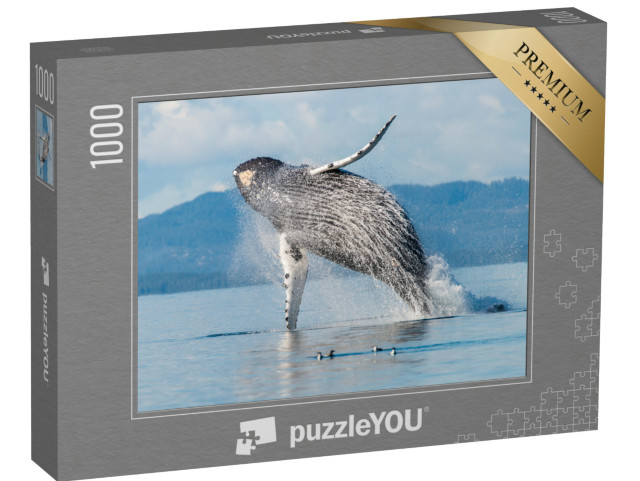 Puzzle 1000 Teile „Buckelwal bricht aus Wasser im Broughton Archipelago, British Columbia, Kanada“