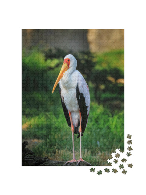 Puzzle 1000 Teile „Afrikanischer Gelbschnabelstorch, Mycteria ibis, stehend auf einem alten Baumstamm“