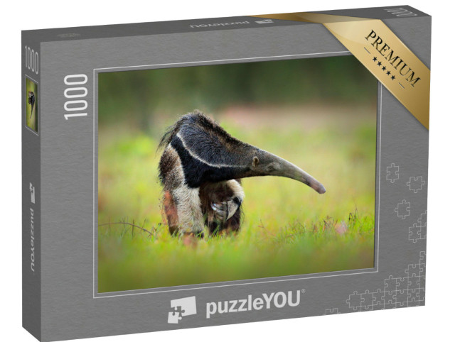 Puzzle 1000 Teile „Riesiger Ameisenbär, Myrmecophaga tridactyl, Brasilien“