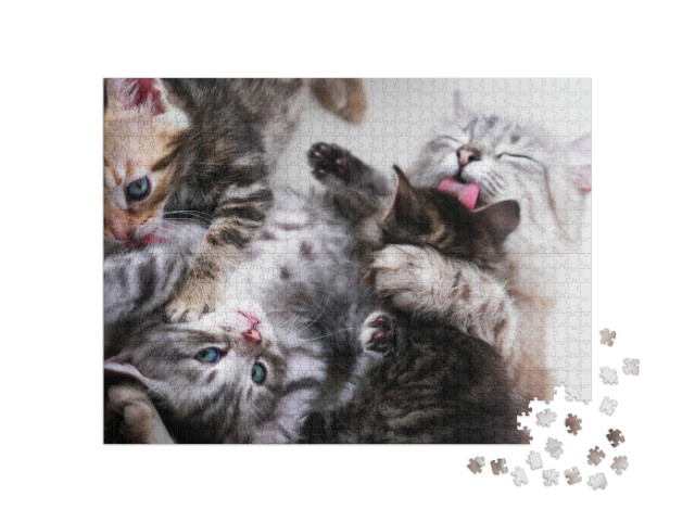 Puzzle 1000 Teile „Mutterkatze und Kätzchen“