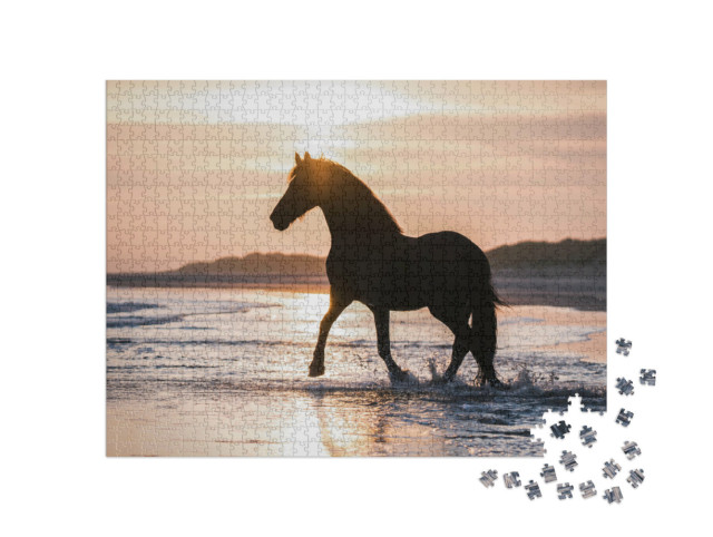 Puzzle 1000 Teile „Schwarzes Pferd trabt frei am Strand gegen das Abendlicht“