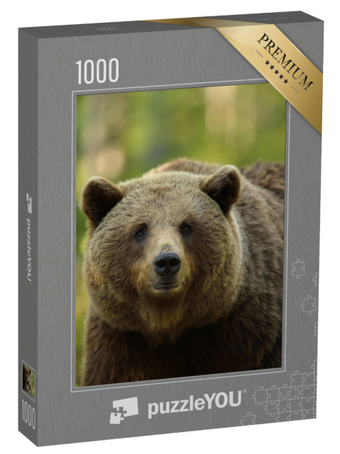 Puzzle 1000 Teile „Braunbär: Ursus arctos, Porträt im Wald“