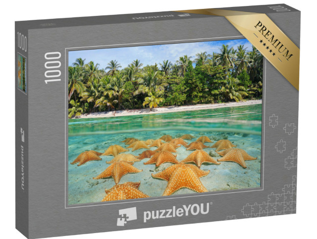 Puzzle 1000 Teile „Unter und über Wasser: Eine Gruppe Seesterne am karibischen Strand“