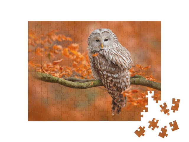 Puzzle 200 Teile „Herbstaufnahme mit Eule, Uralkauz, sitzt auf Ast im Eichenwald, Norwegen“