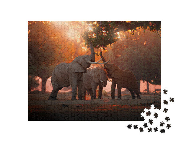 Puzzle 1000 Teile „Elefant beim Fressen im Mana Pools Nationalpark, Simbabwe“