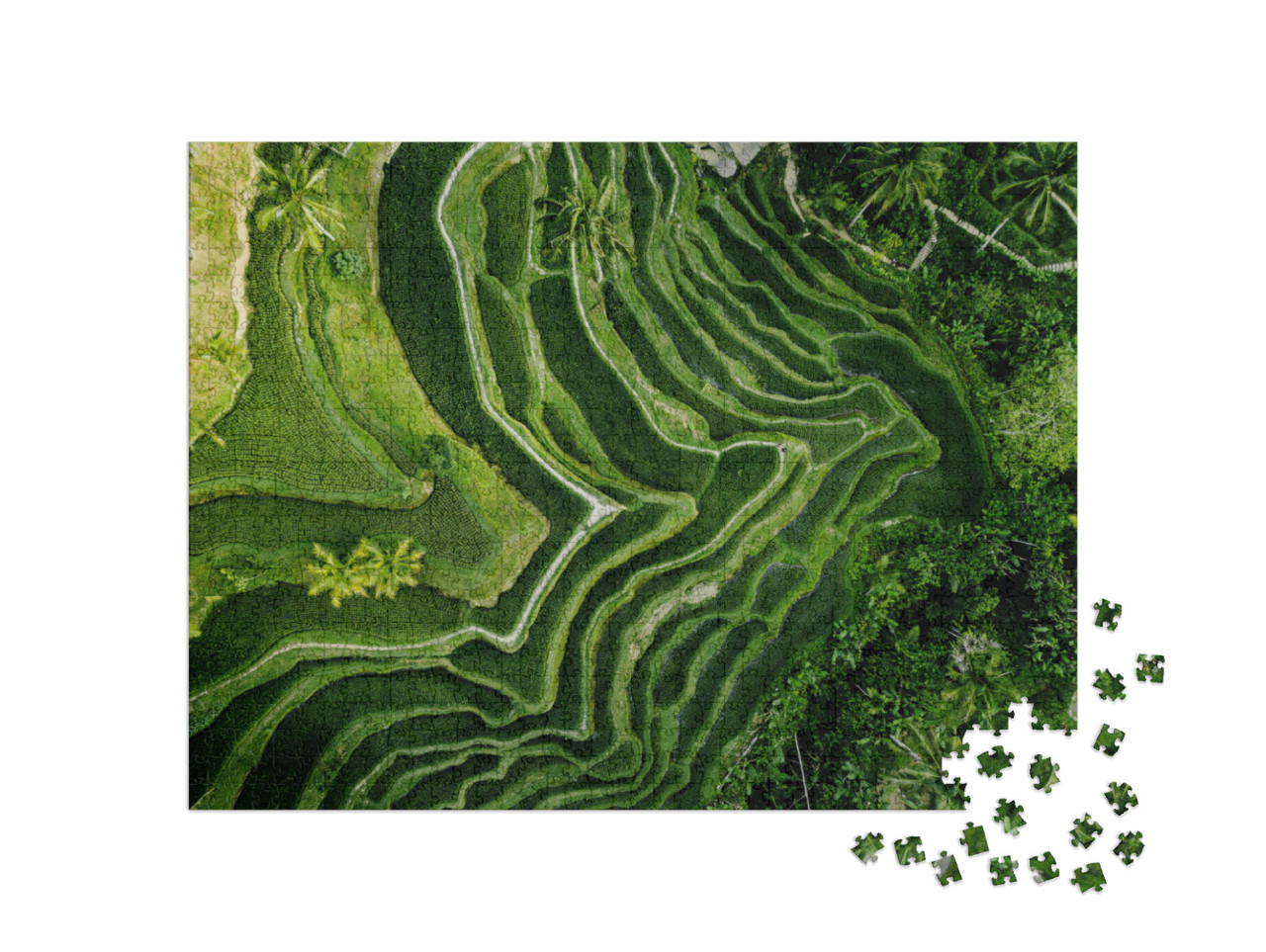 Puzzle 1000 Teile „Reisplantage in Bali von oben, Indonesien“