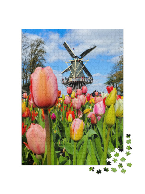 Puzzle 1000 Teile „Windmühle im Tulpenfeld, Niederlande“