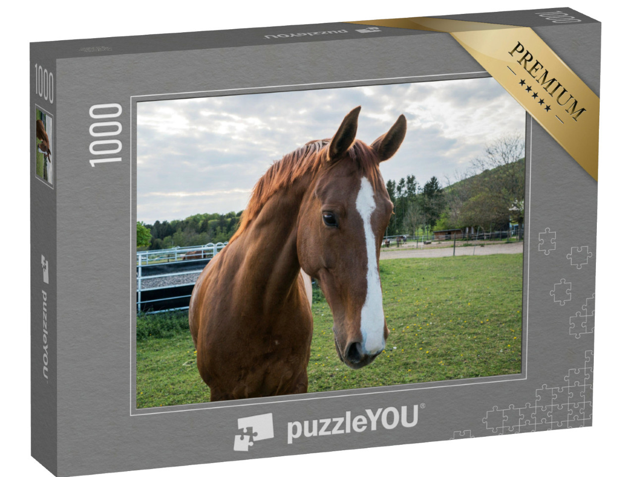 Puzzle 1000 Teile „Nahhaufnahme eines braunen Pferdes mit weißer Blässe“