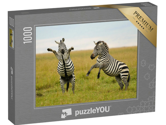 Puzzle 1000 Teile „Spiel oder Kampf? Burchell- oder Steppenzebra in Tansania“