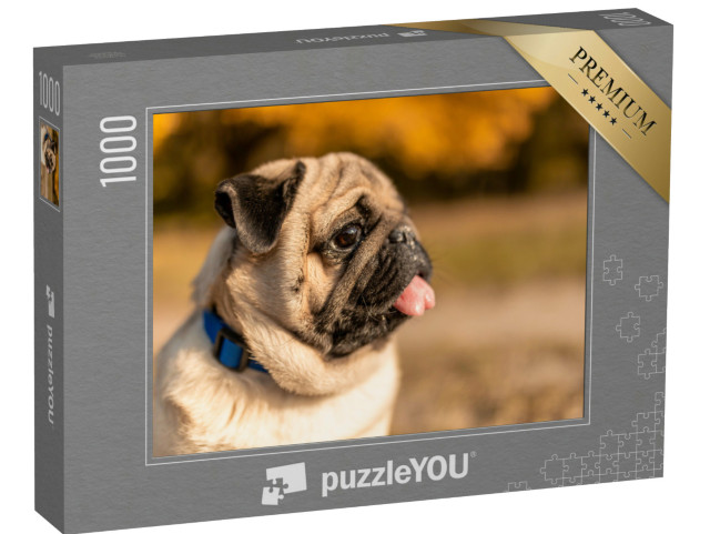 Puzzle 1000 Teile „Seiten-Porträt eines Mopses“