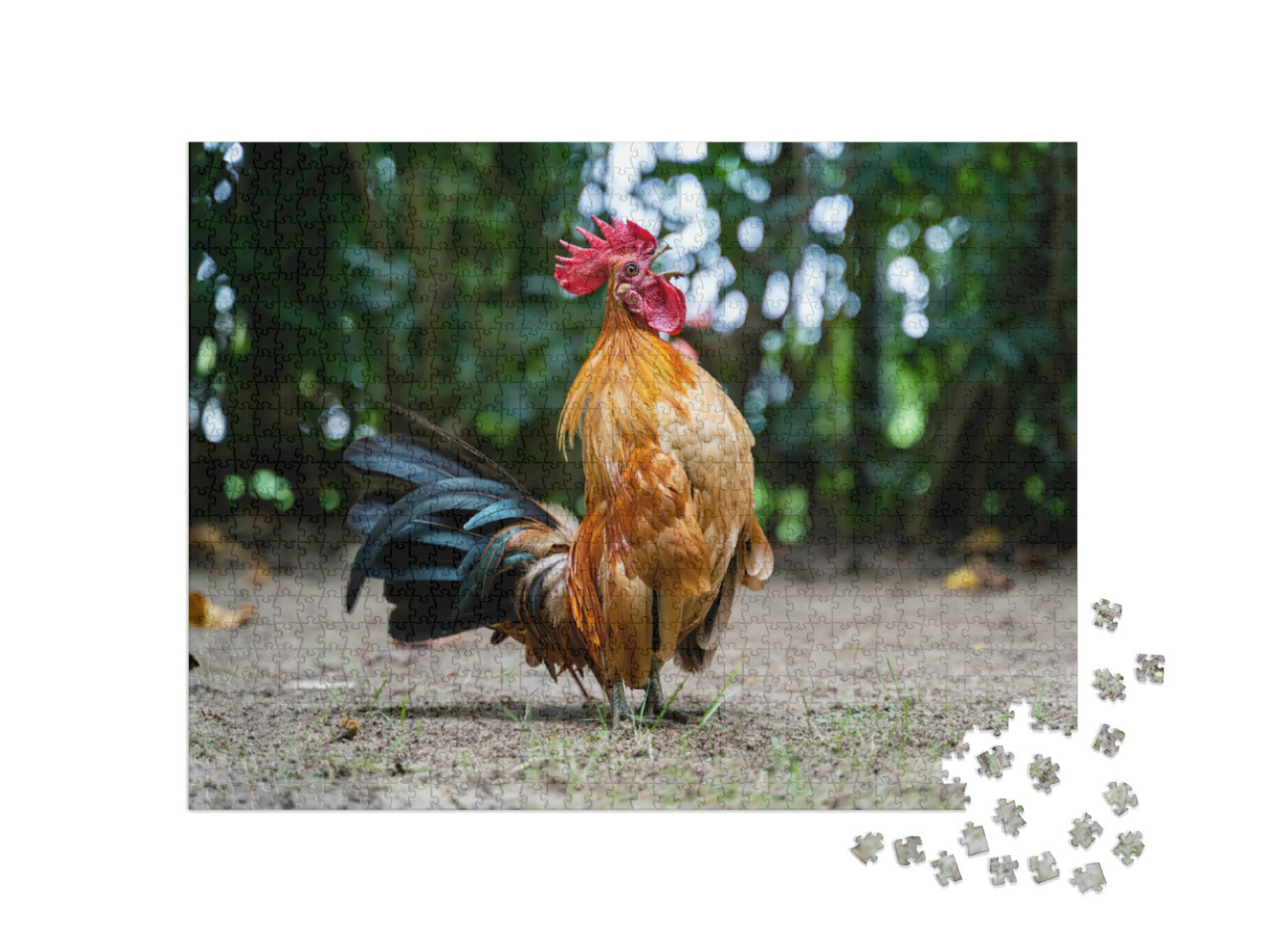 Puzzle 1000 Teile „Ein Hahn kräht aus vollem Hals“