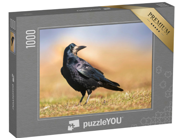 Puzzle 1000 Teile „Schwarz glänzendes Gefieder: Eine Saatkrähe“