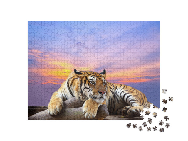 Puzzle 1000 Teile „Aufmerksamer Tiger“