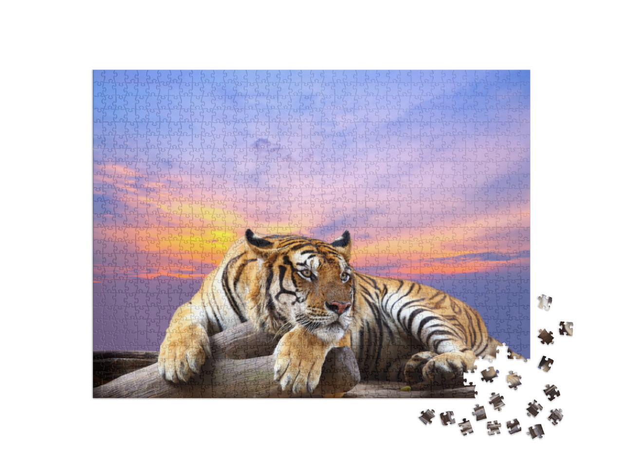 Puzzle 1000 Teile „Aufmerksamer Tiger“