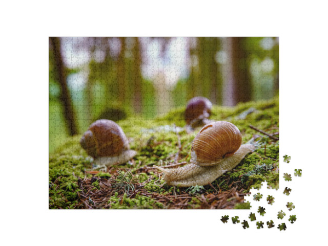 Puzzle 1000 Teile „Weinbergschnecken in der Natur“