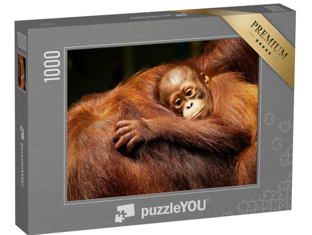 Puzzle 1000 Teile „Orang-Utan-Weibchen und ihr Baby im Regenwald“