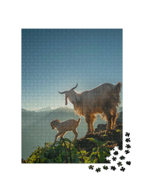 Puzzle 1000 Teile „Eine Ziege und ihr Zicklein in den Bergen bei morgendlichem Sonnenlicht“