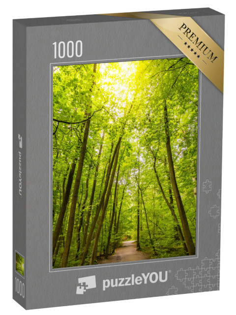 Puzzle 1000 Teile „Wanderweg in den Buchenwäldern des Nationalparks Hainich, Deutschland“