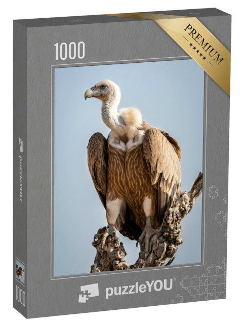 Puzzle 1000 Teile „Gänsegeier auf einem Baum im Nationalpark Jaisalmer Rajasthan, Indien“