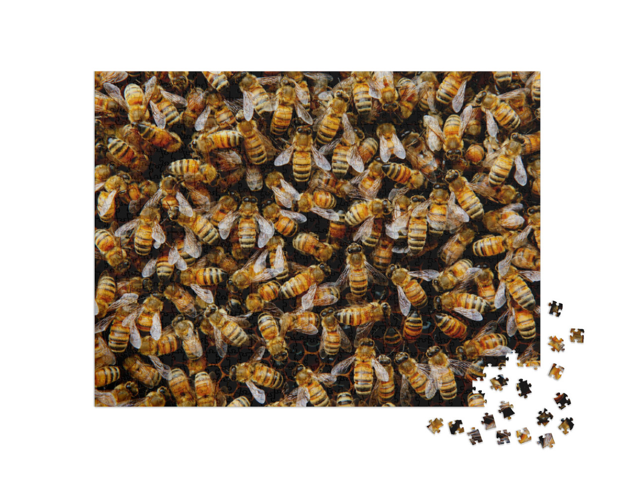 Puzzle 1000 Teile „Ein schwärmendes Bienenvolk versammelt sich um seine Königin“