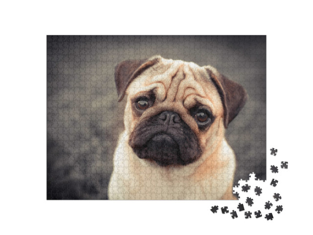 Puzzle 1000 Teile „Porträt: Mops-Welpe“