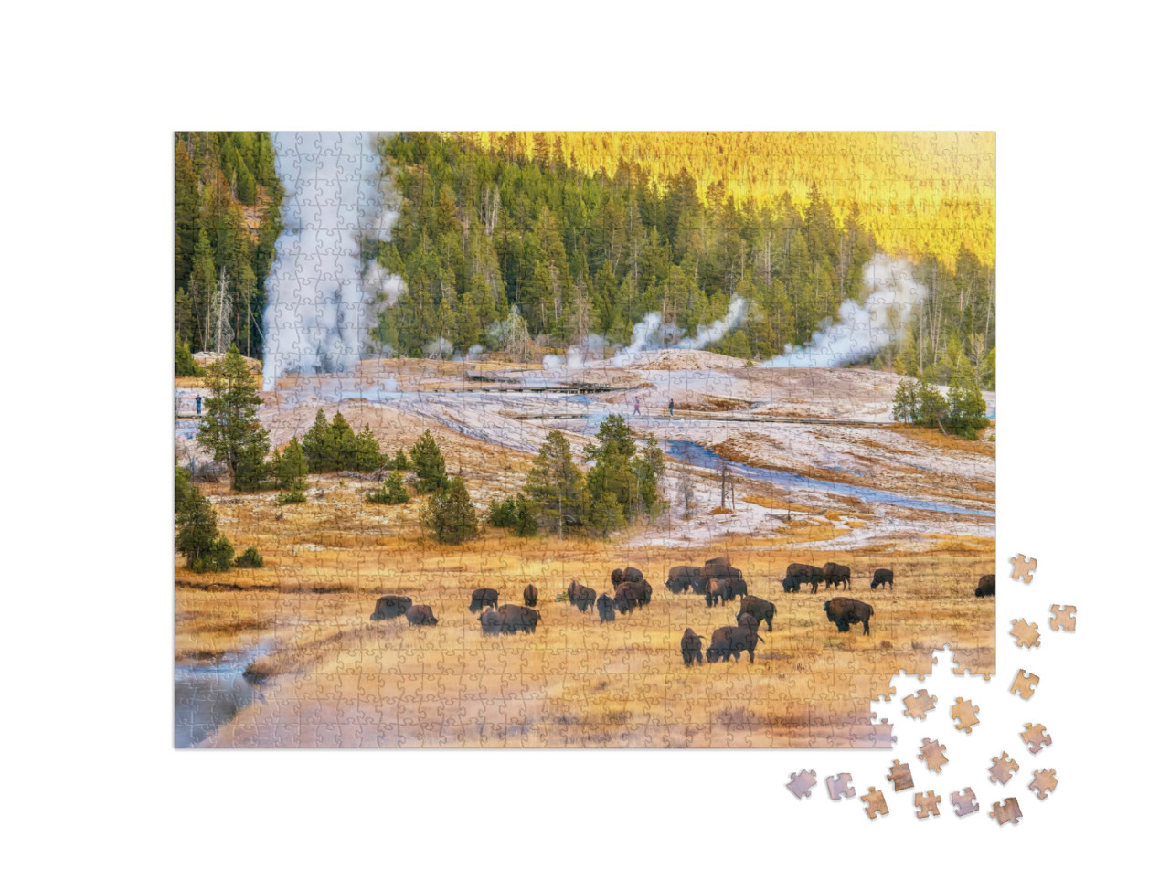 Puzzle 1000 Teile „Bisonherde bei Sonnenuntergang im Upper Geyser Basin im Yellowstone-Nationalpark“