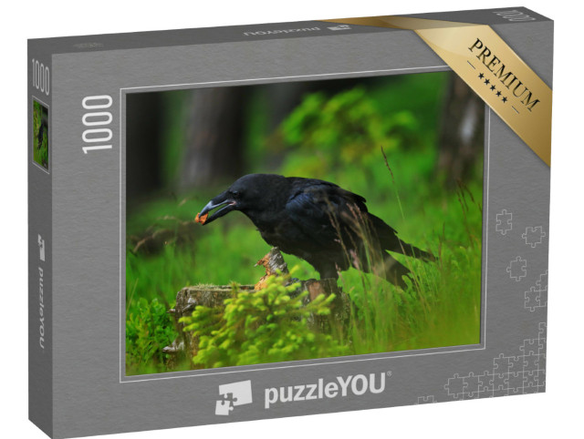 Puzzle 1000 Teile „Junger Kolkrabe auf der Suche nach Nahrung in einem morschen Baumstumpf“
