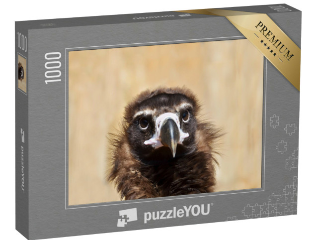 Puzzle 1000 Teile „Porträt eines Mönchsgeiers“
