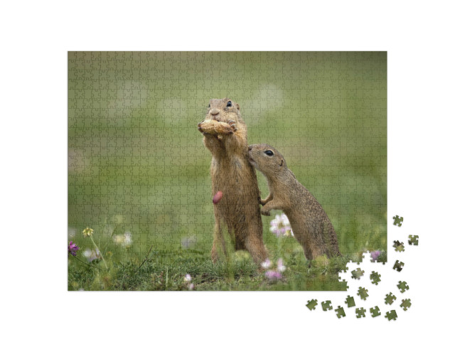 Puzzle 1000 Teile „Erdhörnchen in der Nähe auf einer Sommerwiese mit Gras“
