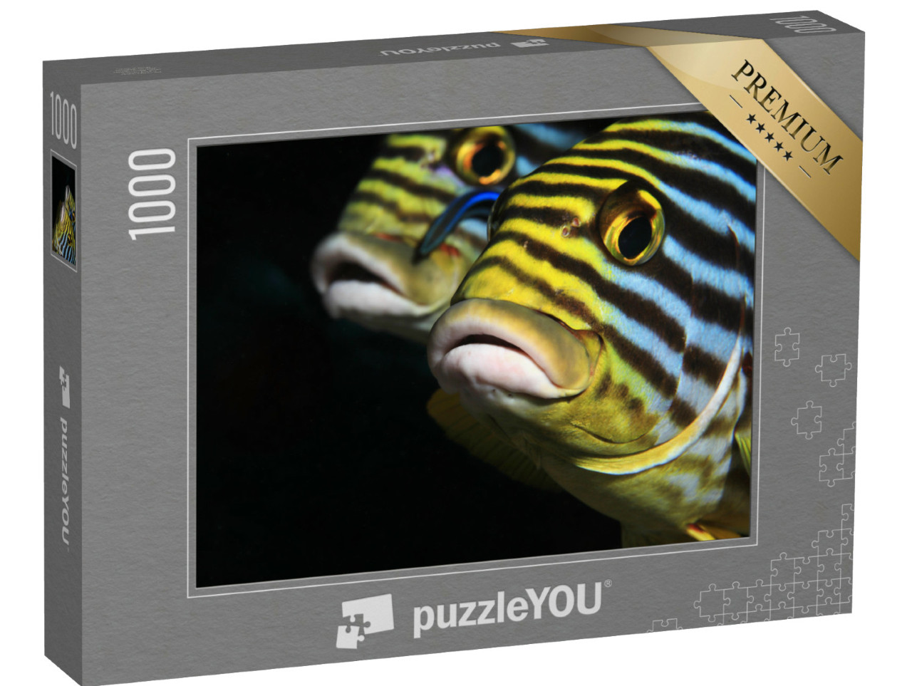 Puzzle 1000 Teile „Orientalischer Süßlippenfisch, Malediven“