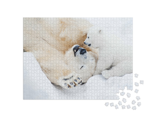 Puzzle 1000 Teile „Eisbärin spielt mit ihrem kleinen Jungen im Schnee“