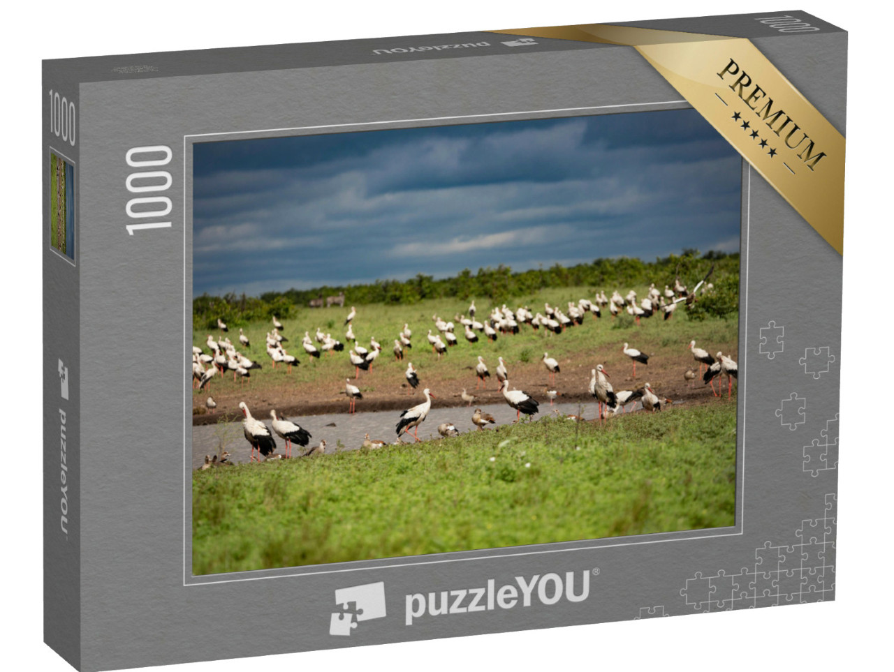 Puzzle 1000 Teile „Ein riesiger Schwarm von Weißstörchen an einer Wasserstelle“