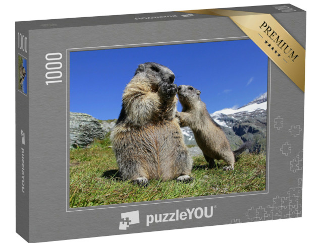 Puzzle 1000 Teile „Murmeltiermutter mit ihrem neugierigen Jungtier, Österreich“